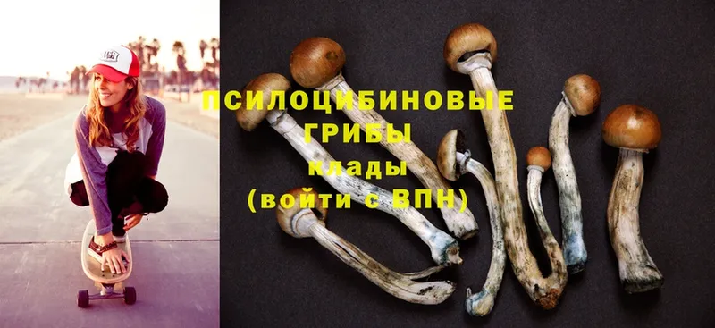 Галлюциногенные грибы Magic Shrooms  Майский 